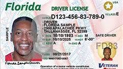 How Much Does a Driver’s License Cost in Florida?