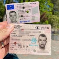 b96 führerschein online​